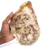 Madera silicificada pulida de Madagascar - 0
