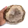 Madera fósil - 0