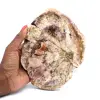 Madera silicificada - 0