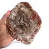 Madera petrificada de Madagascar - 0