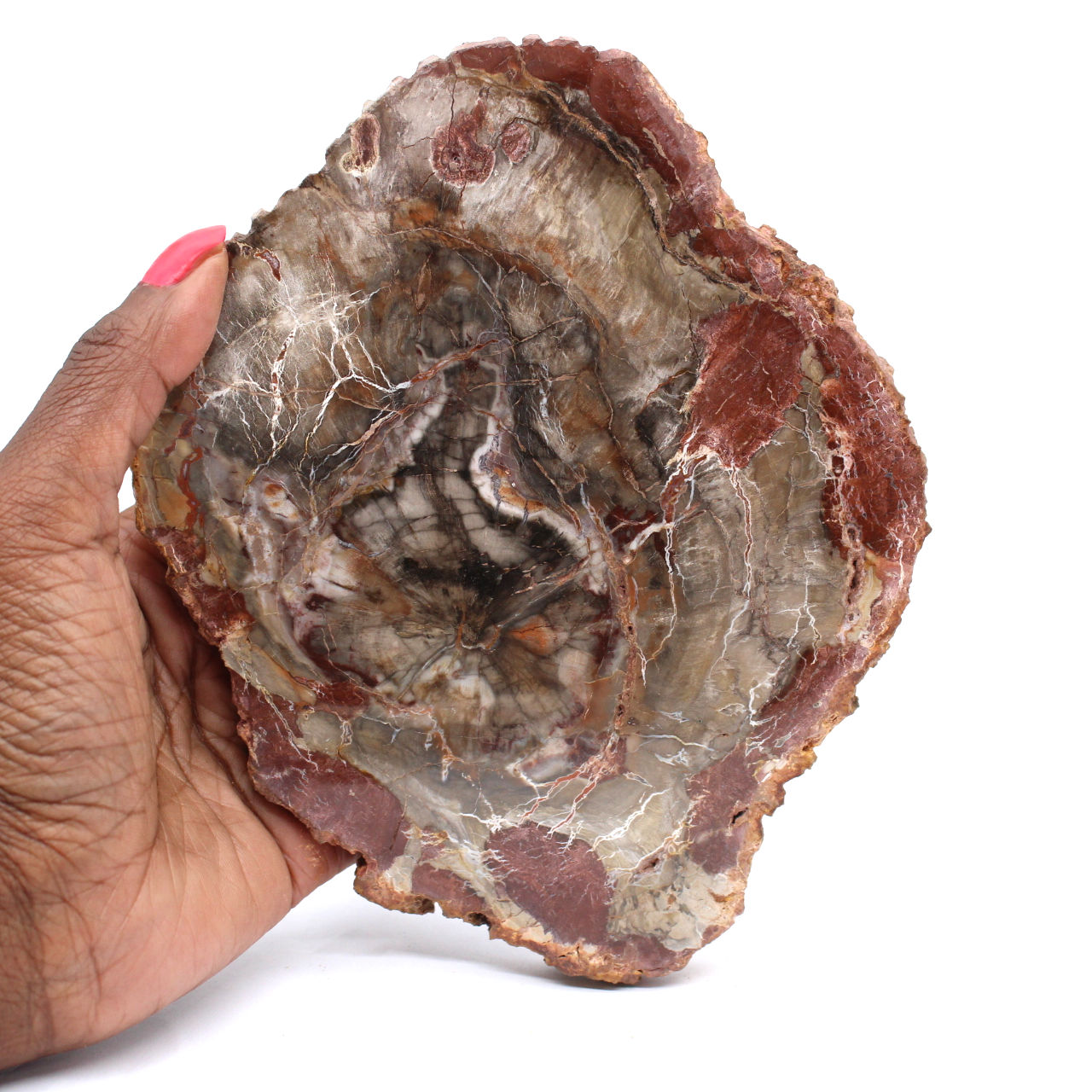 Madera petrificada de Madagascar