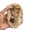 Madera silicificada pulida de Madagascar - 0