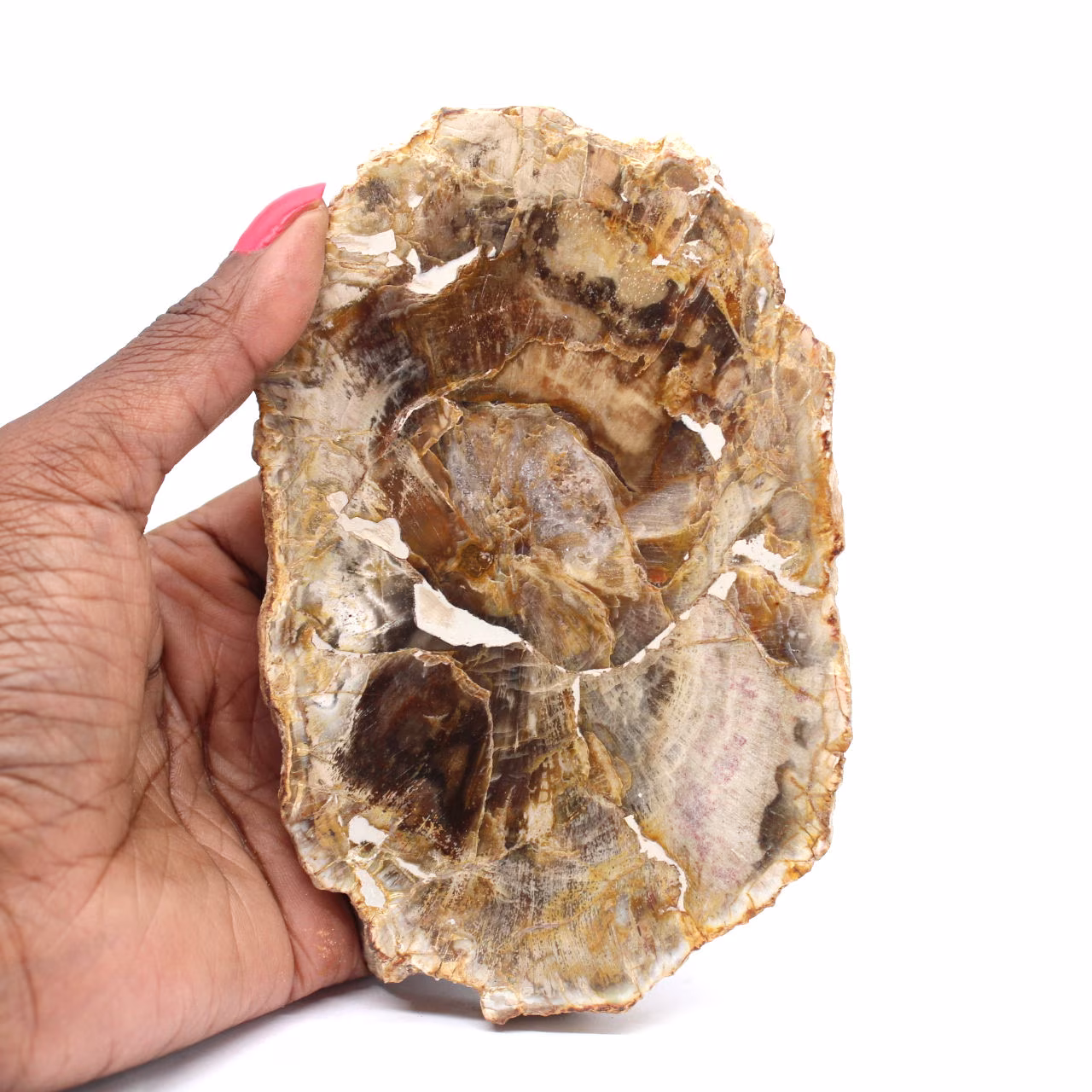 Madera silicificada pulida de Madagascar