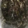 crisoprasa - 6