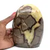 Septaria natural coleccionable - 0