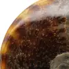 Amonita natural entera pulida de Madagascar - 4