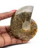 Amonita entera pulida de Madagascar - 0