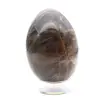 Huevo de piedra lunar negra - 1
