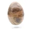 Huevo de microclina negra - 1