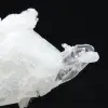 Cuarzo del Himalaya - 5