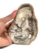Madera petrificada - 0