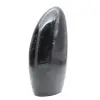 Turmalina ornamental - 2