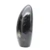 Turmalina ornamental - 3