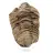Trilobite fósil
