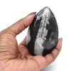 Fósil de Orthoceras hallado en Marruecos - 2