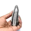 Fósil de Orthoceras hallado en Marruecos - 0