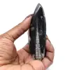 Fósil de Orthoceras Marruecos - 0