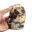 Anhidrita pulida — 9
