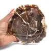 Madera fosilizada pulida de Madagascar - 0