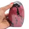 Rodonita ornamental - 0