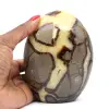 Septaria coleccionable - 0