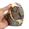 Septaria ornamental - 0
