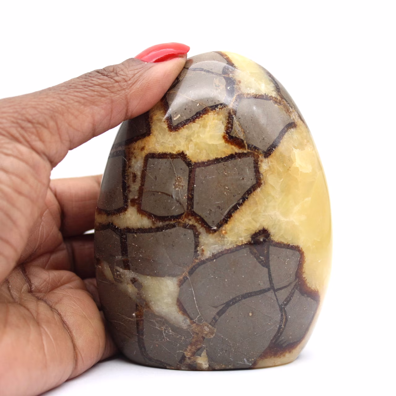 Piedra Septariana