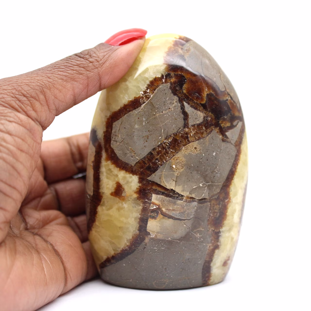 Septaria natural de Madagascar