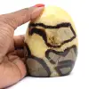 Septaria ornamental natural - 0