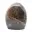 Microclina ornamental — 1