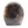 Microclina ornamental — 4