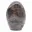 Microclina ornamental — 8
