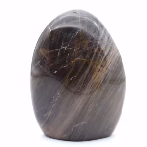 Roca de piedra lunar negra pulida