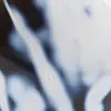 Ágata ornamental - 7