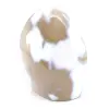Ágata ornamental - 3