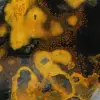 Jaspe abejorro indonesio: adorno de piedra natural pulida - 15