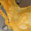 Ejemplar de jaspe abejorro pulido: origen Indonesia - 8