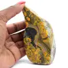 Jaspe abejorro pulido: ejemplar mineralógico de Indonesia - 0