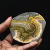 Adorno de abejorro de jaspe pulido, Indonesia, raro - 1