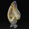 Ciencia mineral de roca de jaspe abejorro pulido - 2
