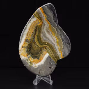 Ciencia mineral de roca de jaspe abejorro pulido