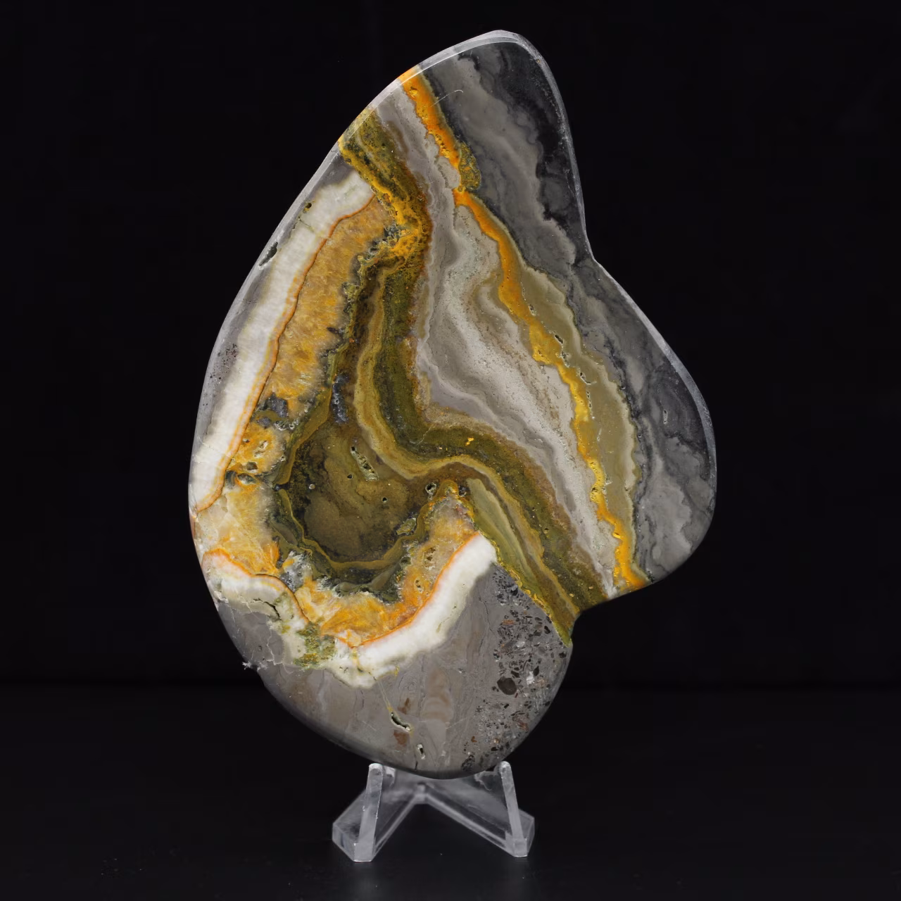 Ciencia mineral de roca de jaspe abejorro pulido