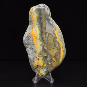 Colección de decoración de abejorro de jaspe de piedra lisa
