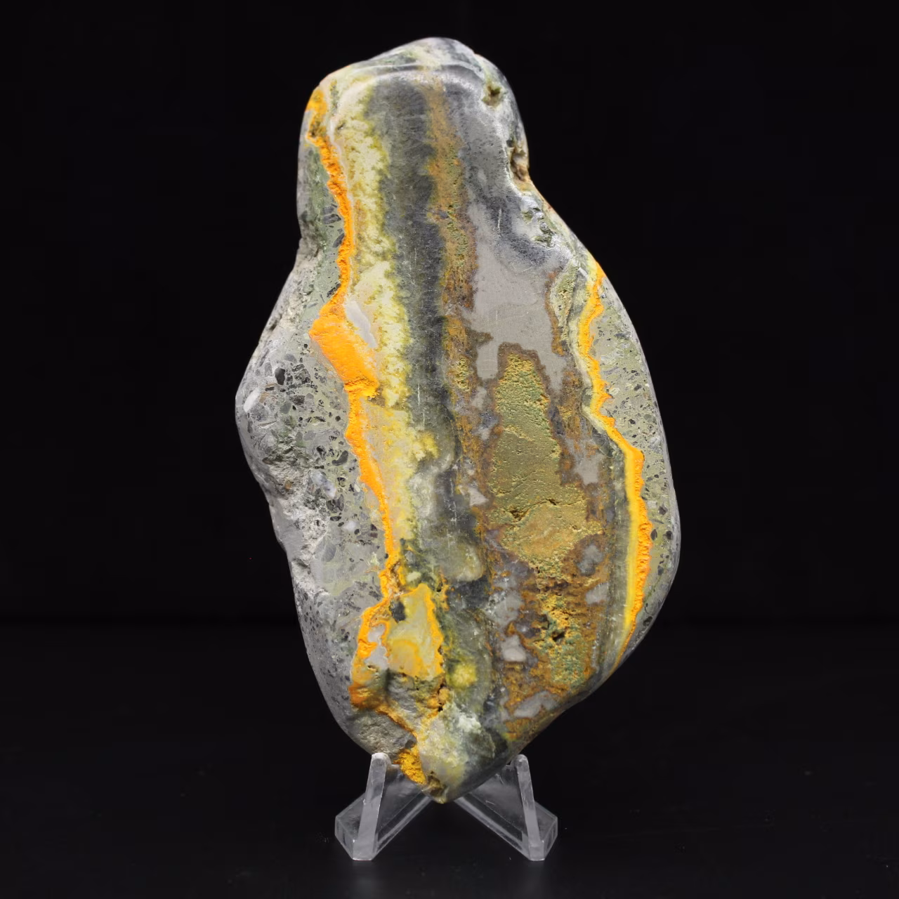 Colección de decoración de abejorro de jaspe de piedra lisa