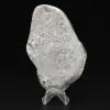 Colección de piedras grandes pulidas de jaspe abejorro - 6