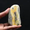 Colección de abejorro pulido en miniatura de jaspe - 1