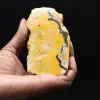 Rebanada de jaspe abejorro de Indonesia - 1