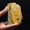 Rebanada de jaspe con forma de abejorro estético - 1