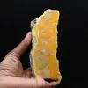 Rebanada gruesa de jaspe abejorro de Indonesia - 1