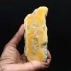 Ejemplar de jaspe abejorro volcánico pulido - 1